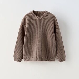 ZARA Brown Sweater
